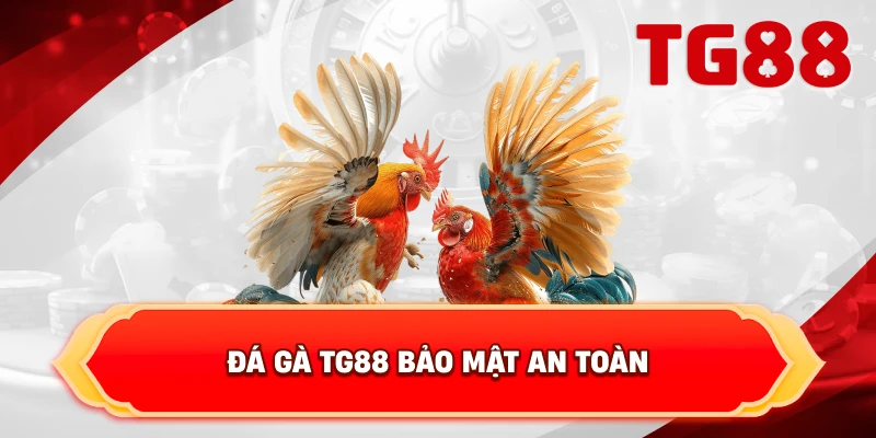 Đá Gà TG88 bảo mật an toàn