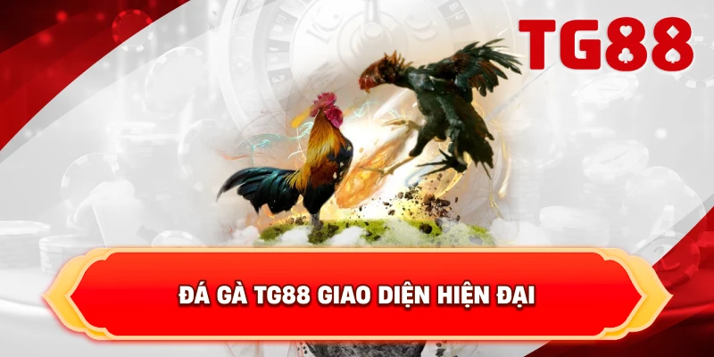 Đá Gà TG88 giao diện hiện đại