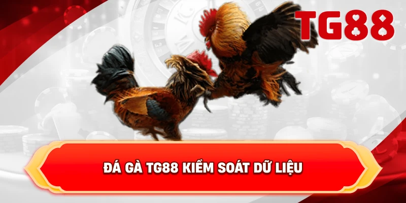 Đá Gà TG88 kiểm soát dữ liệu