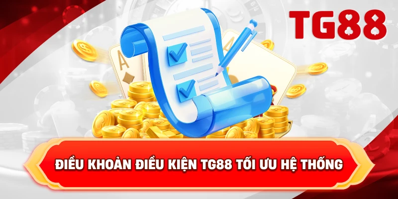 Điều Khoản Điều Kiện TG88 tối ưu hệ thống