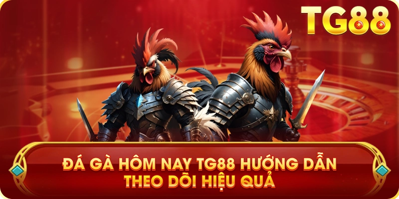 Đá Gà Hôm Nay TG88 Hướng Dẫn Theo Dõi Hiệu Quả