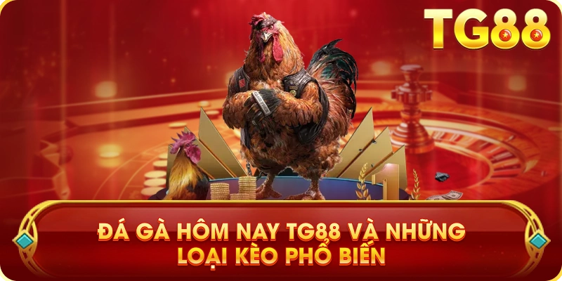 Đá Gà Hôm Nay TG88 Và Những Loại Kèo Phổ Biến