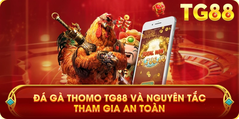 Đá Gà Thomo TG88 Và Nguyên Tắc Tham Gia An Toàn