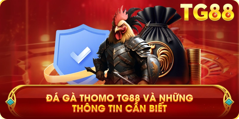 Đá Gà Thomo TG88 Và Những Thông Tin Cần Biết