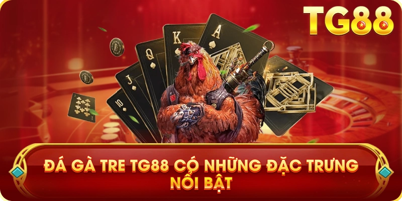 Đá Gà Tre TG88 Có Những Đặc Trưng Nổi Bật